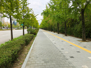 road in the park