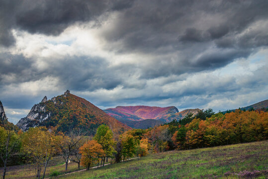 autumn landscape in the mountains, forest of Saou,  for&ecirc;t de Saou, Dr&ocirc;me department, France