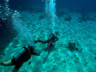 Scuba divers in the blue water. Sharm El Sheikh, Egypt 