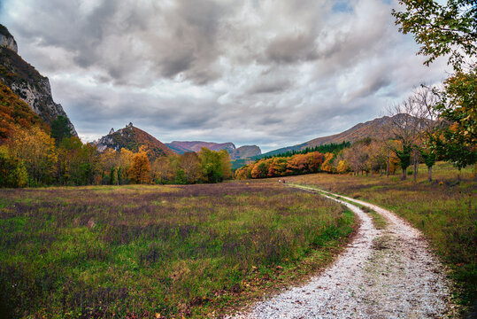 autumn landscape with mountains and sky ,for&ecirc;t de Saou, Dr&ocirc;me department, France.