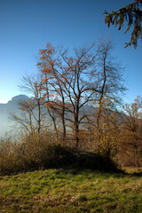 Wunderschöne Herbststimmung in Triesenberg in Liechtenstein 18.11.2020