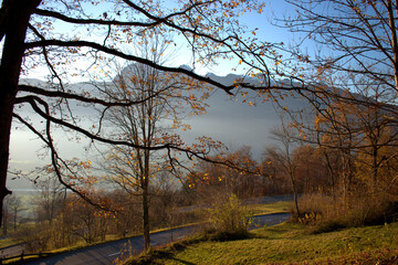 Naklejka premium Wunderschöne Herbststimmung in Triesenberg in Liechtenstein 18.11.2020
