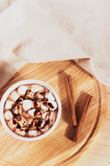 tasty sweet hot chocolate in a cup and mini marshmallows