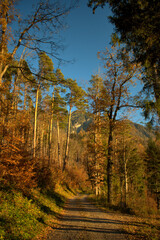 Wunderschöne Herbststimmung in Triesenberg in Liechtenstein 18.11.2020