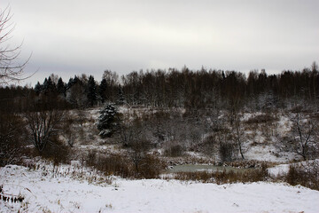 Fototapeta premium the first snow in the forested area on the outskirts of the city