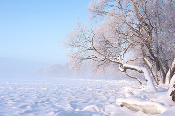 Winter nature landscape. Scenic snowy winter. Trees covered by snow. Amazing December.
