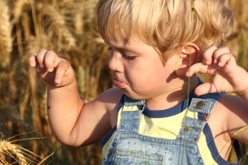 Child in the field