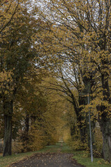 Skåne landscape in and around Malmö, Sweden in autumn