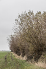 Skåne landscape in and around Malmö, Sweden in autumn