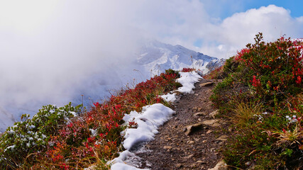 Beautiful hiking trail leading over a ridge in the alpine mountains in Montafon, Austria surrounded by discolored red bushes in autumn season with rising clouds. Focus on center of image.