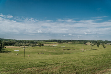 Obraz premium field and blue sky