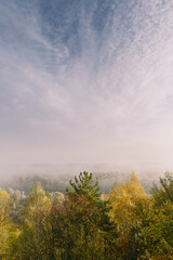 Beautiful vertical autumn landscape with colorful trees, blue sky and white soft clouds