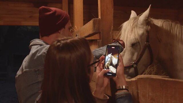 Young woman takes a photo of white horse in stable