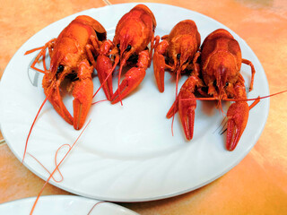 Beer, boiled crawfish with lemon and rosemary. Shallow dof.