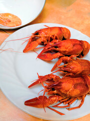 Fine selection of crustacean for dinner. Lobster, crab and jumbo shrimp on dark background