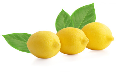 Lemon an isolated on a white background