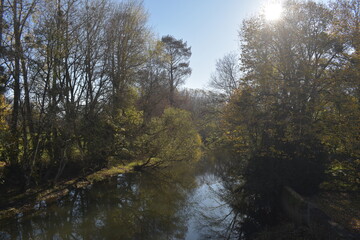 autumn in the countryside
