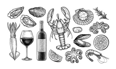 Ink sketch set of wine and seafood.