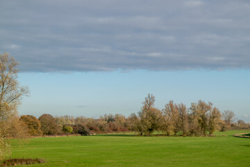 Fototapeta premium Dutch nature scenery during fall season