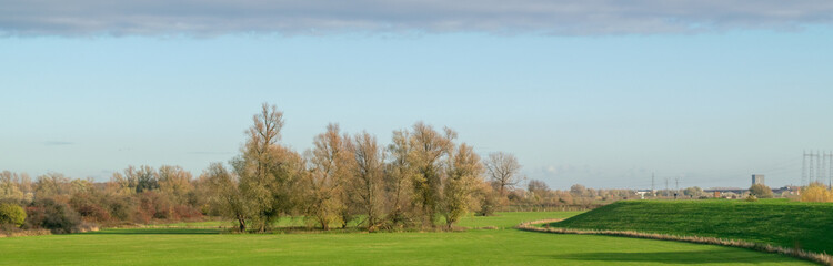 Fototapeta premium Dutch nature scenery during fall season