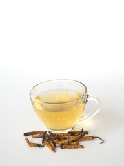 Select focus of mushroom cordyceps (CHONG CAO) this a herbs. With a glass of water, add water from the Ophiocordyceps sinensis extract. Medicinal properties in the treatment of diseases.