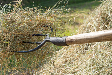 hay on a pitchfork. A stack of freshly mown grass. Concept of rural life