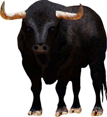 1 black bull