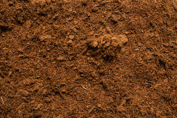 Coconut substrate background.