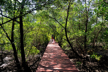 Obraz premium Red wooden pathway stretching through the mangrove forest. with blur of people walk on the wooden floor walkway. At Mangrove forest Sa-Lak-Phet Baan Na Nai Koh Chang Trat of Thailand.