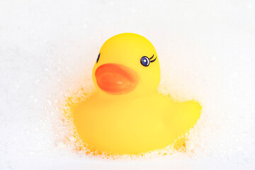 Rubber yellow duck in foam. Bathing concept for babies and children