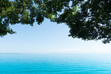 Bright turquoise sea And there are branches and leaves. on top Empty space of sky in the middle.