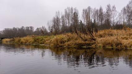 autumn landscape gray and cloudy day, river bank with bare trees and bushes, bank reflection in...