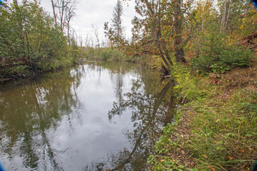 Fototapeta na wymiar Rifle River, Rifle River Recreation Area, Ogemaw County, Michigan