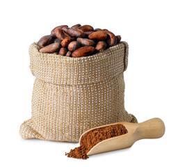 cacao beans in sack