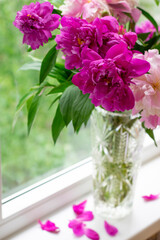 Obraz na płótnie Canvas Vertical photo of vase with bright peonies bouquet. Windowsill with flower bunch