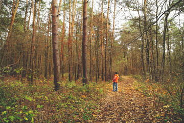 Mężczyzna w pomarańczowej kurtce stoi na ścieżce w lesie sosnowym