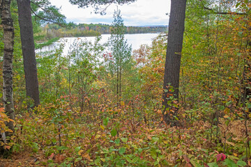 Obraz premium Grousehaven Lake, Overlook, Rifle River Recreation Area, Ogemaw County, Michigan