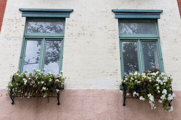 Fototapeta na wymiar Pair of Windows with Window Sill Flower Boxes and White Flowers on an Old White Building