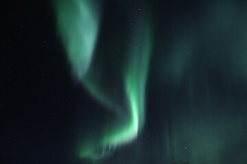 aurora borealis, northern lights in Norway  - obrazy, fototapety, plakaty