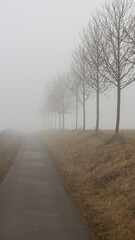 Fototapeta premium path in the fog