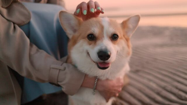 woman owner hugging corgi dog while sitting on sea beach during traveling spbi. Closeup view of American Young female strokes and touches fur of cute pet and sits on picturesque coastline during