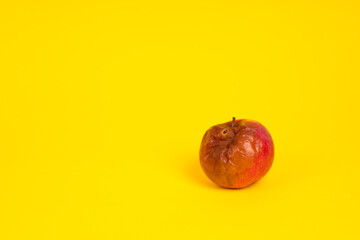 Rotten apple with a worm on a uniform yellow background