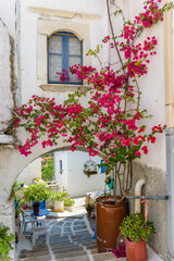 Fototapeta na wymiar Traditional Cycladitic alley with whitewashed houses and a blooming bougainvillea flowers in lefkes Paros island, Greece