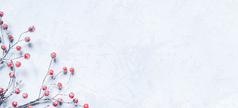 Christmas background of snow-covered branches with berries. Flat lay, top view. Copy space for text.
