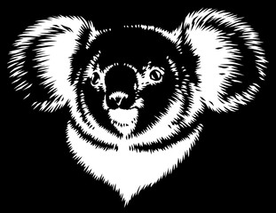 black and white linear paint draw koala illustration art © Turaev