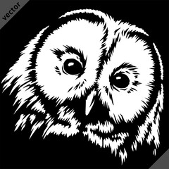 black and white linear paint draw owl vector illustration art