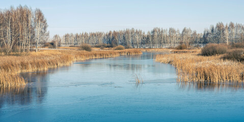 The first frost covered with a thin crust of ice a small pond winding among the birches. The banks of the reservoir are overgrown with reeds and shrubs