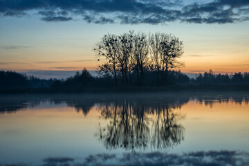 Naklejka na ściany i meble Trees on the shores of a calm lake, fog and clouds