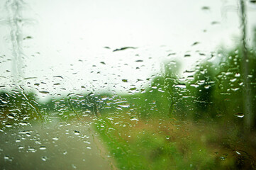 Rain drop falls on a window with a green trees in the background