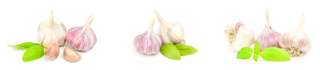 Collection of Garlic isolated on a white background cutout